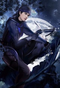 和珅新传