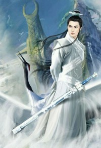 妙手小村医作者了了一生